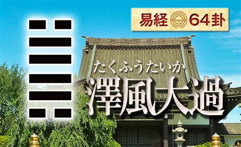 澤風大過復合|【周易全解】28 大過卦 